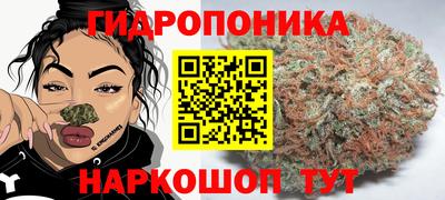 ALPHA PVP Моздок